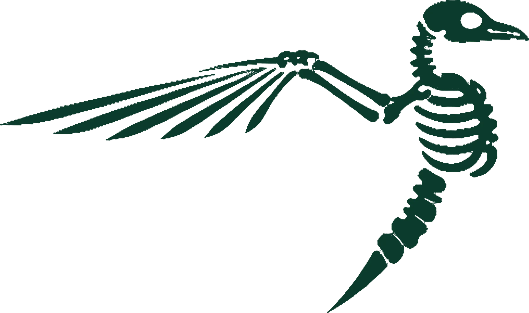 J. Chloel Creative bird mark