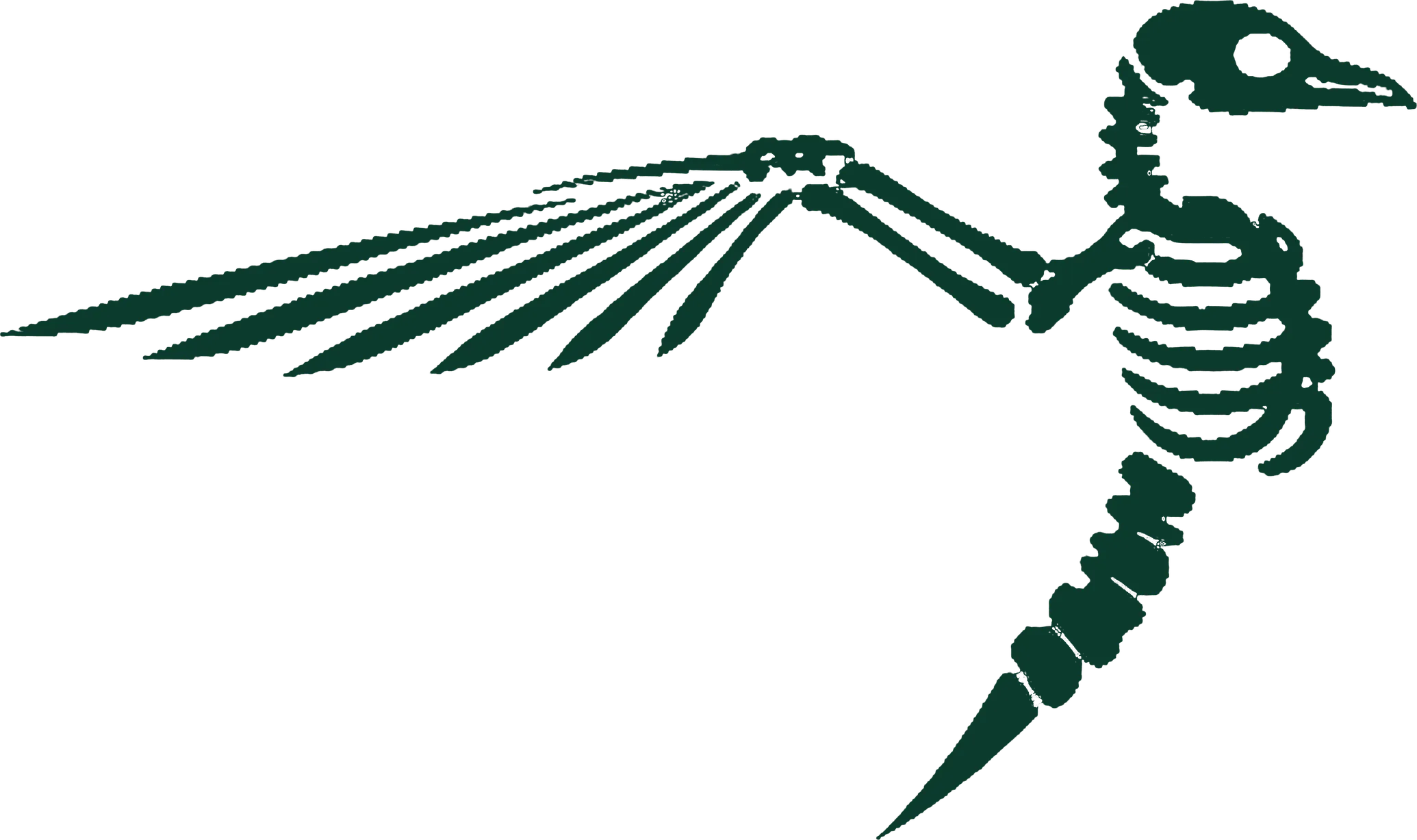J. Chloel Creative bird mark